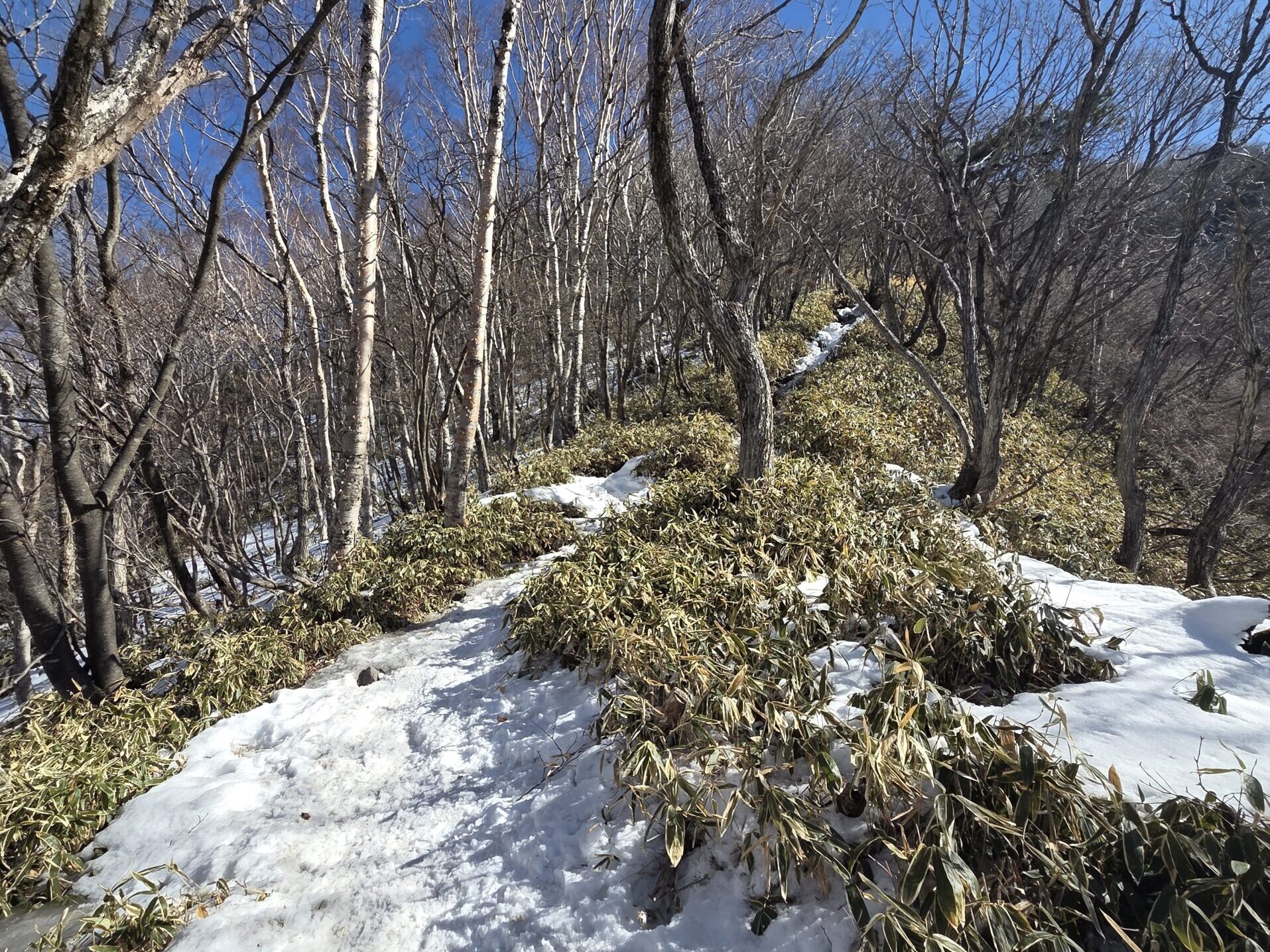 2月の黒檜山 登山道の雪の状態