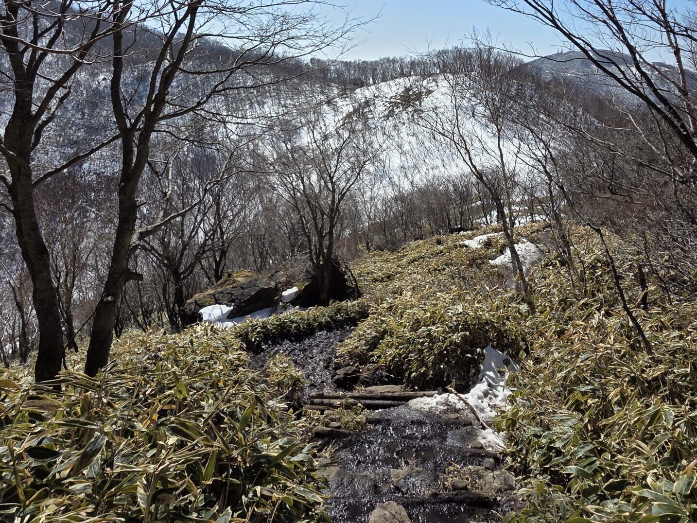 黒檜山〜駒ヶ岳 登山道の状態