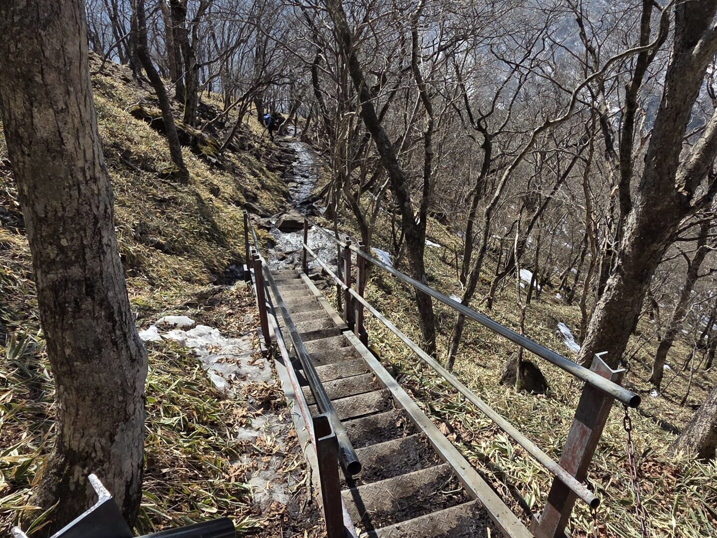 駒ヶ岳からの下山 登山道の状態
