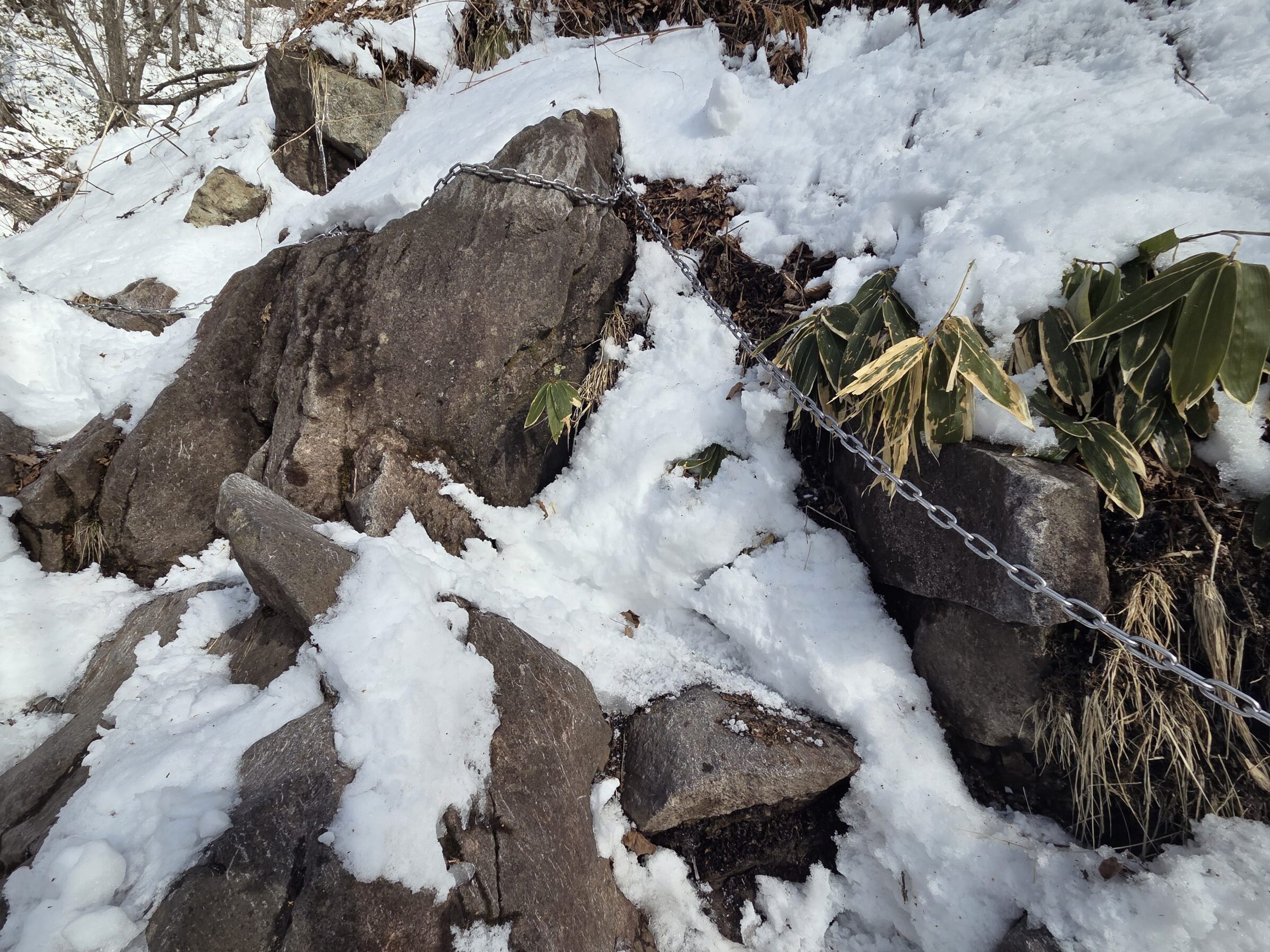 飯縄山登山道の鎖場の写真