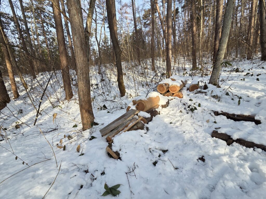 飯縄山一ノ鳥居登山口、二つ目の鳥居が解体された様子。