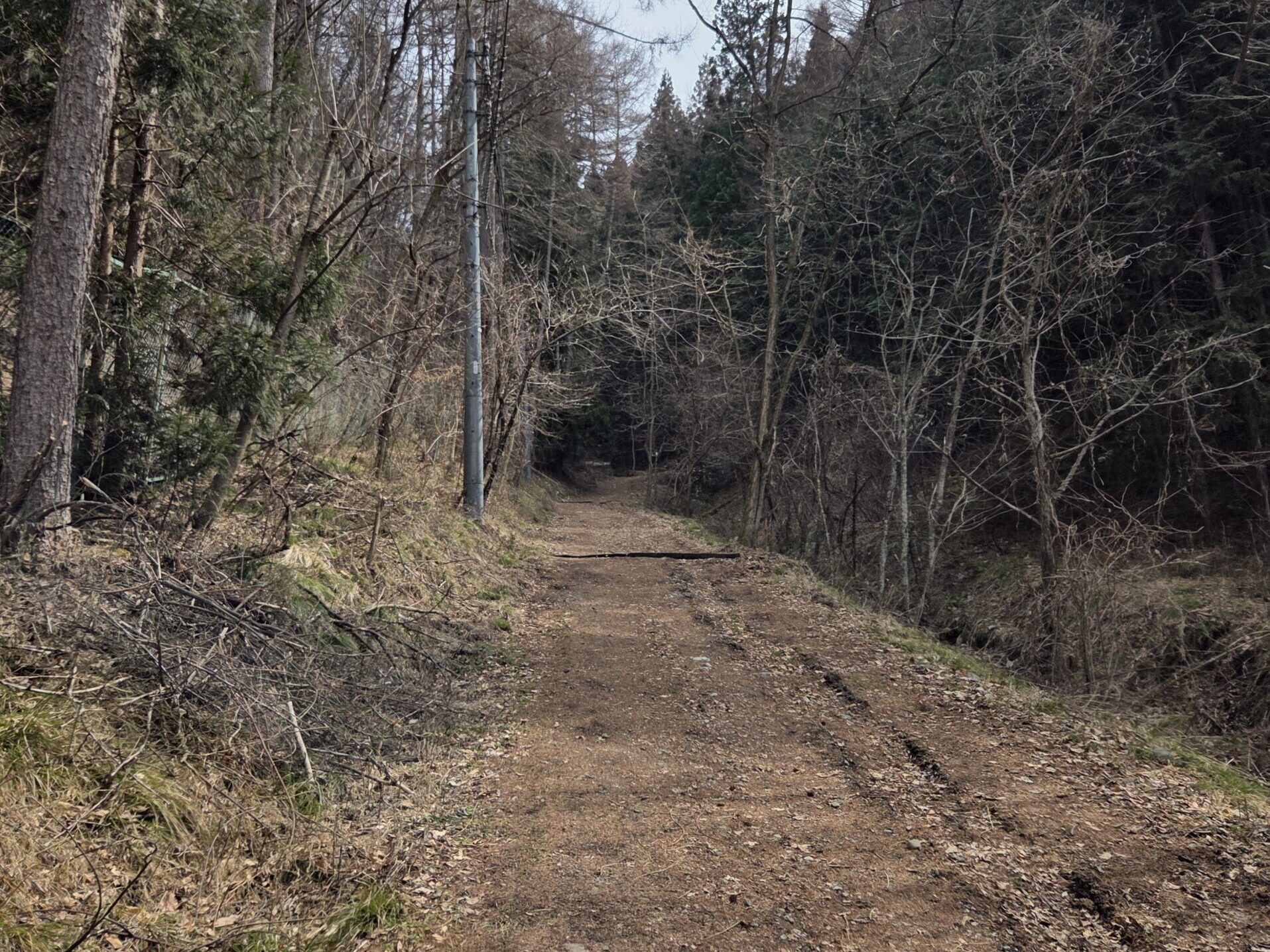 鷹狩山登山口付近の登山道の様子