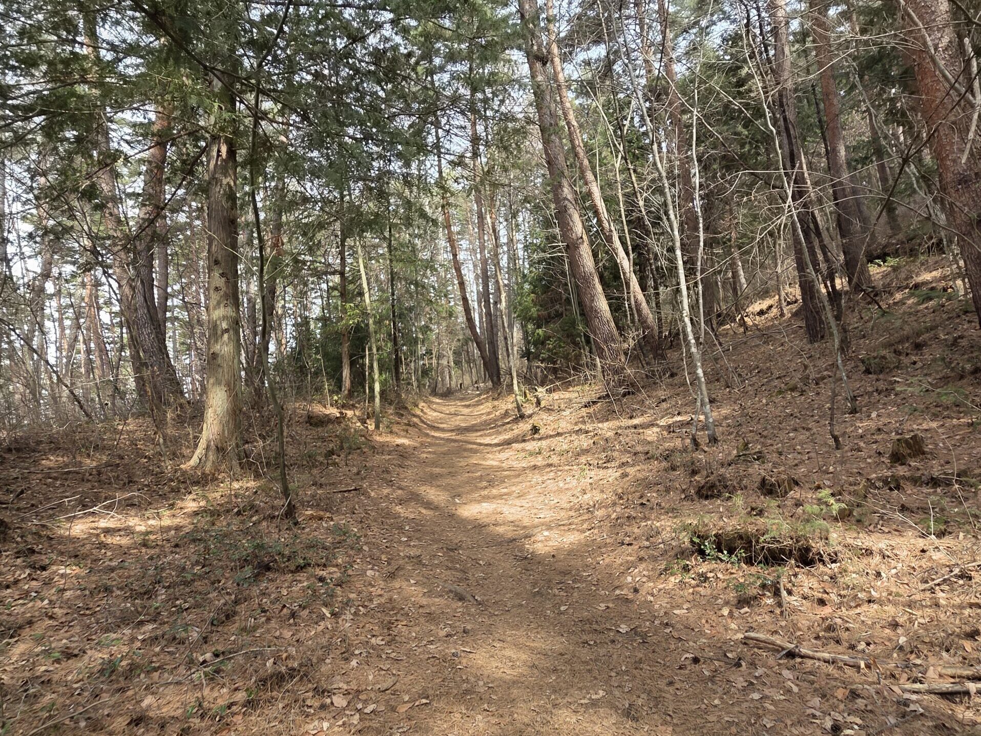 鷹狩山、登山道の様子