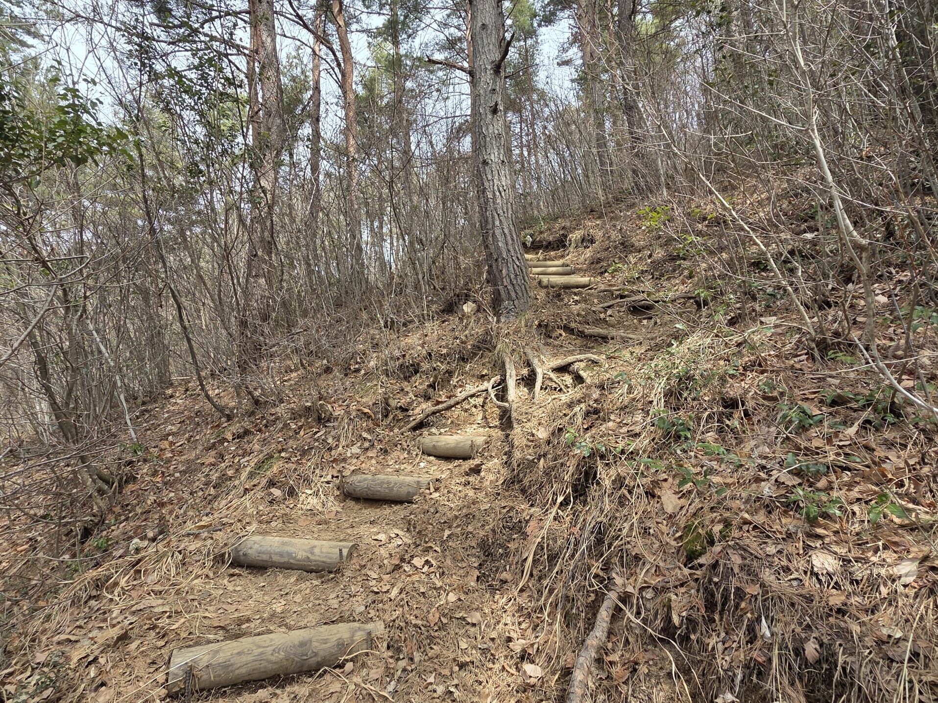 鷹狩山登山道の階段