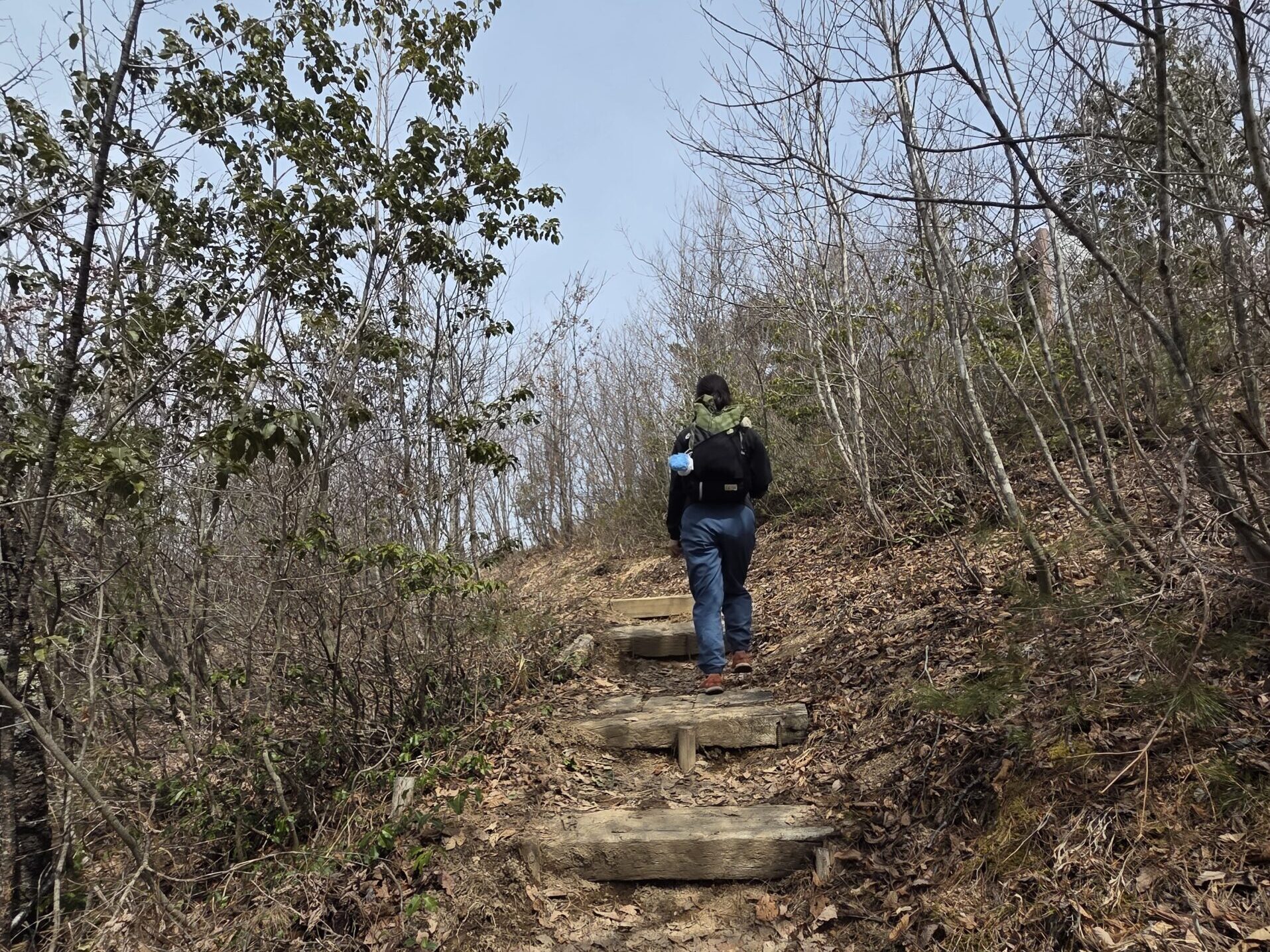鷹狩山登山道、後少して山頂に着く様子