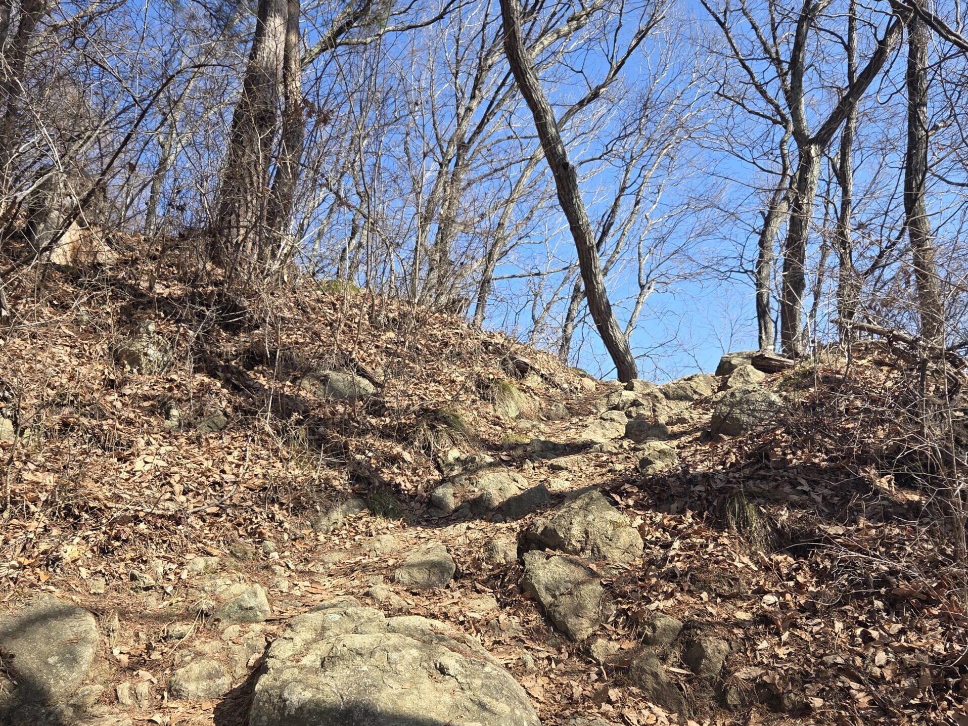 太郎山登山道。岩がゴロゴロしている様子。